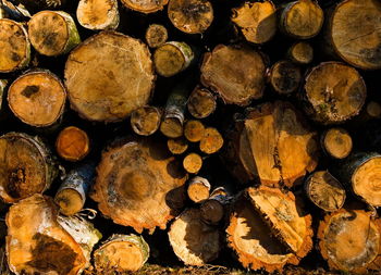 Full frame shot of logs
