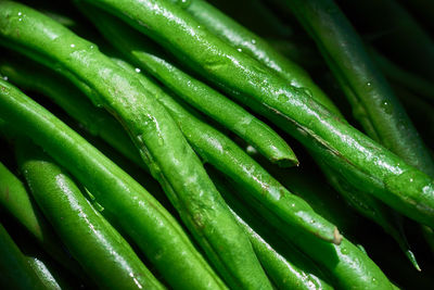 High angle view of wet green beans