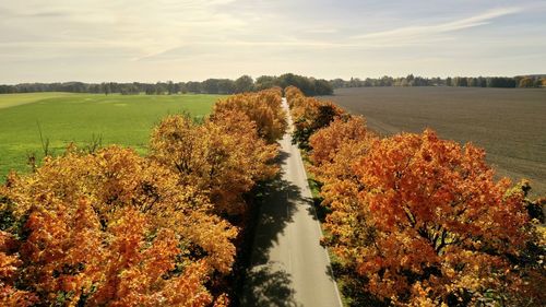 Scenic view of trees during autumn against sky