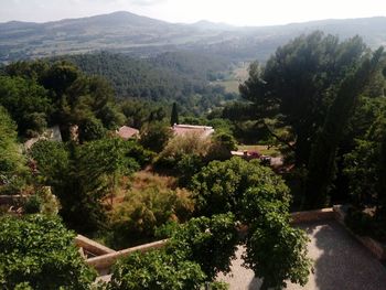 High angle view of trees on landscape