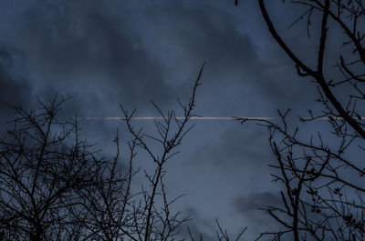 Low angle view of bare tree against sky