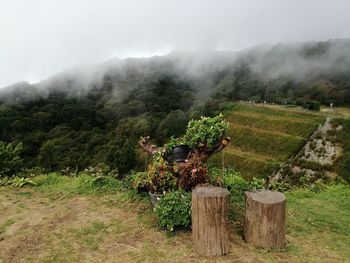 Scenic view of field against mountains