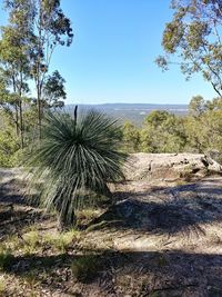 Scenic view of land against clear blue sky