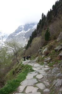 Rear view of people walking on footpath