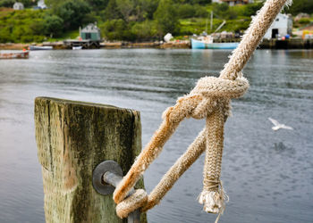 Close-up of rope tied to wooden post in lake