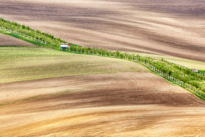 Scenic view of grassy hill