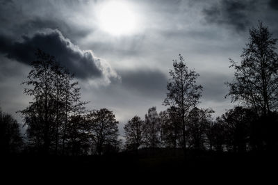 Low angle view of trees against sky