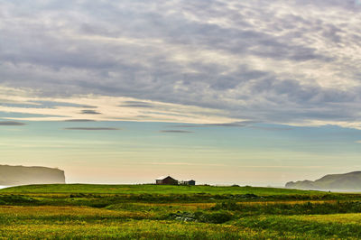 Scenic view of field against sky during sunset
