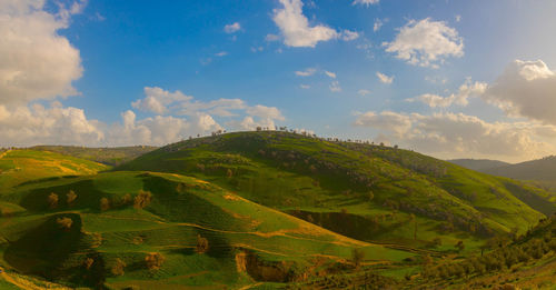 Scenic view of agricultural field against sky