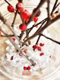 Close-up of christmas tree