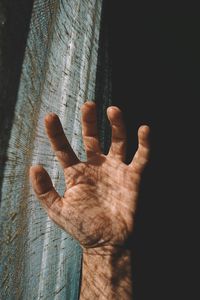 Close-up of human hand on wood