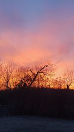 Silhouette trees against dramatic sky during sunset