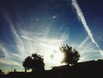 Low angle view of trees against sky