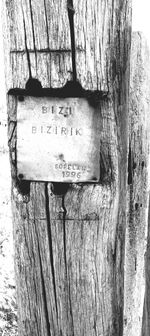 Close-up of old wooden wall