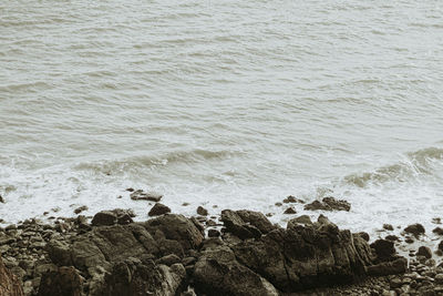 High angle view of rocks on beach