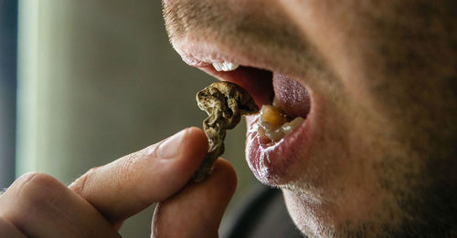 Close-up of person eating hand