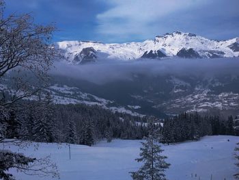 Scenic view of snow covered mountains