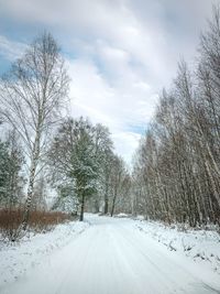 Bare trees on snow covered land against sky