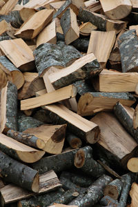 Full frame shot of logs in forest