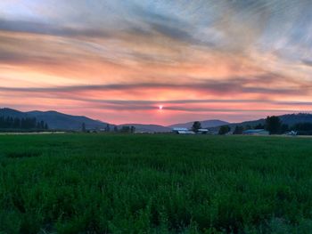 Scenic view of field against sky during sunset