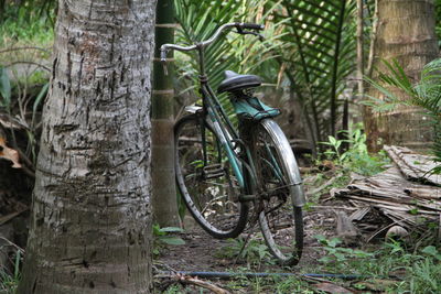 Bicycle in forest