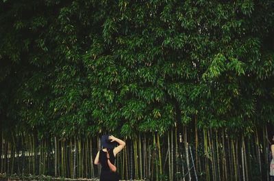 Rear view of woman standing at bamboo grove