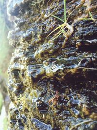 Full frame shot of water surface