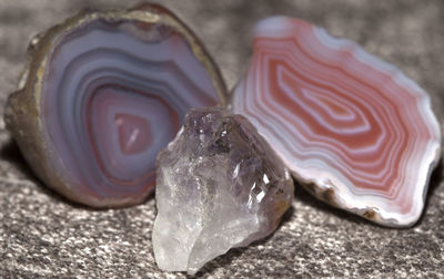 Close-up view of leaf