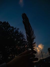 Low angle view of cropped hand holding feather against sky