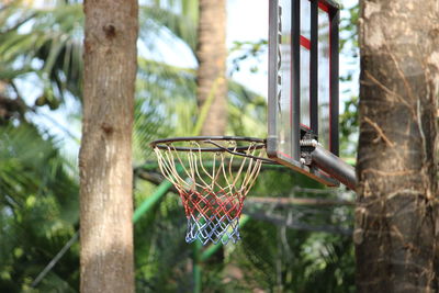 Close-up of basketball hoop against trees in forest