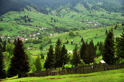 Scenic view of rural landscape