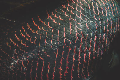 Full frame shot of light