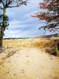 Scenic view of beach against sky