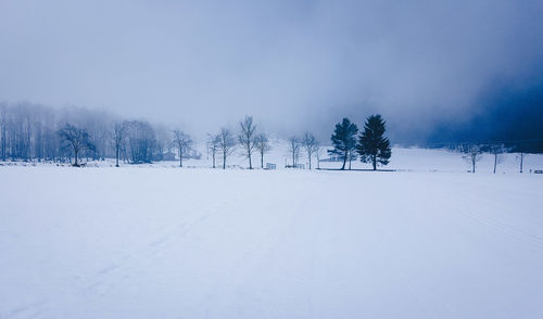 Snow covered trees on field against clear sky