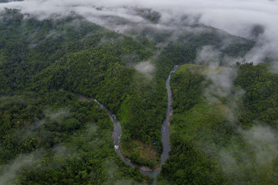 High angle view of trees on mountain