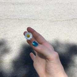 Close-up of hand holding multi colored flower