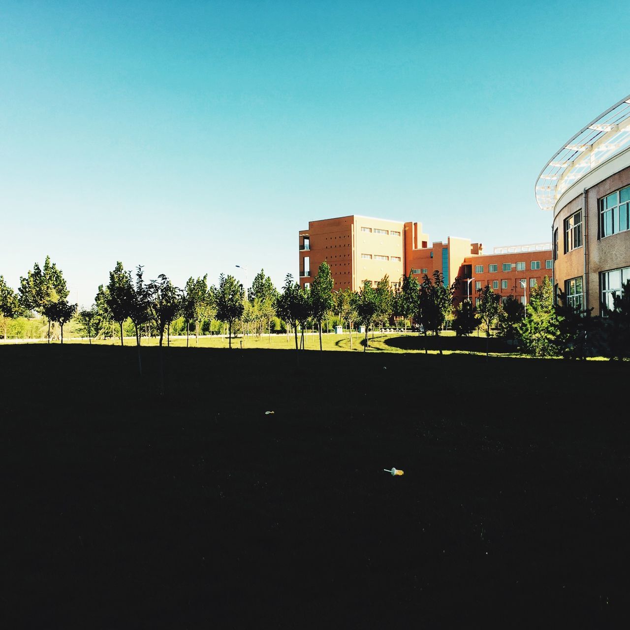 architecture, building exterior, clear sky, built structure, copy space, tree, blue, house, residential structure, residential building, city, building, sunlight, outdoors, growth, day, plant, no people, incidental people, palm tree