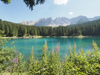 Scenic view of lake by trees against mountains