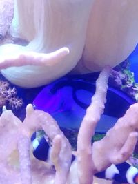 Low section of woman legs in water