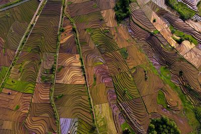 Aerial view of asia in indonesia's most popular region with beautiful curves