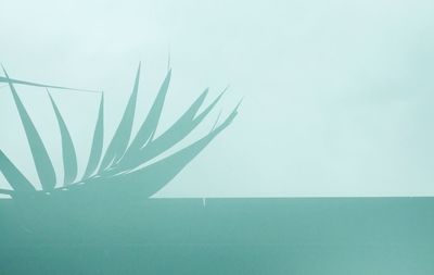 Low angle view of tree