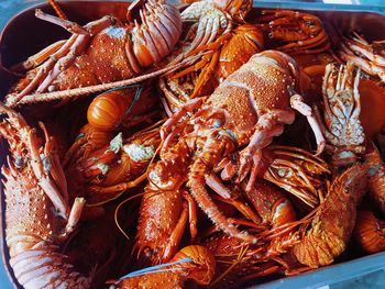 High angle view of lobsters in basket