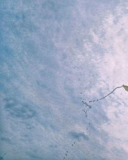 Low angle view of bird flying in sky