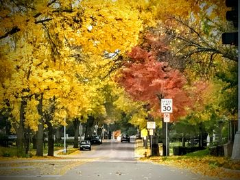 Road amidst trees during autumn