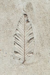 Close-up of leaf pattern on wall