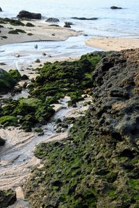 High angle view of rocks on beach