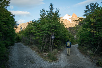 Rear view of man walking on road amidst trees against mountains