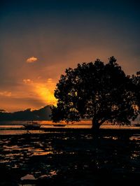 Silhouette trees by sea against sky during sunset