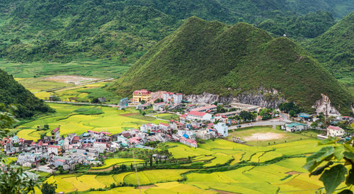 High angle view of trees and buildings on field