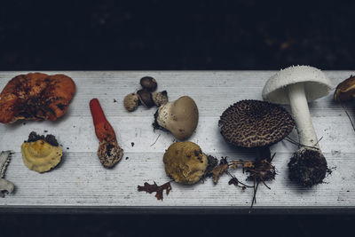 High angle view of fruits on table